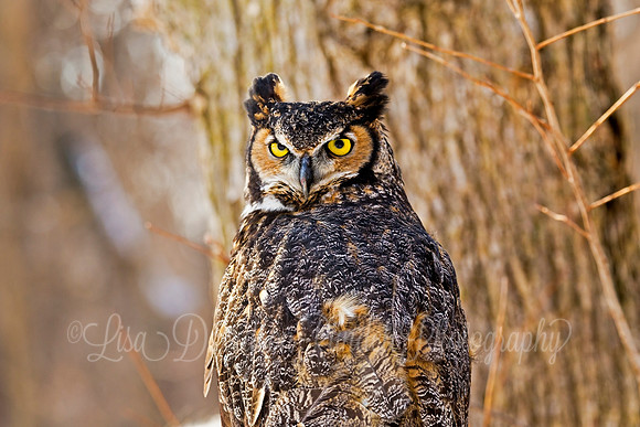 Eye Contact