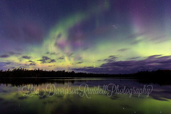 Aurora's Dance