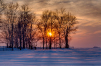 The Soft Hues of a Winter Sunset