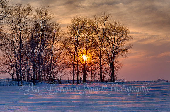 The Soft Hues of a Winter Sunset