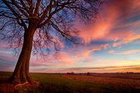 End of the Day