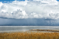 Morning Rain