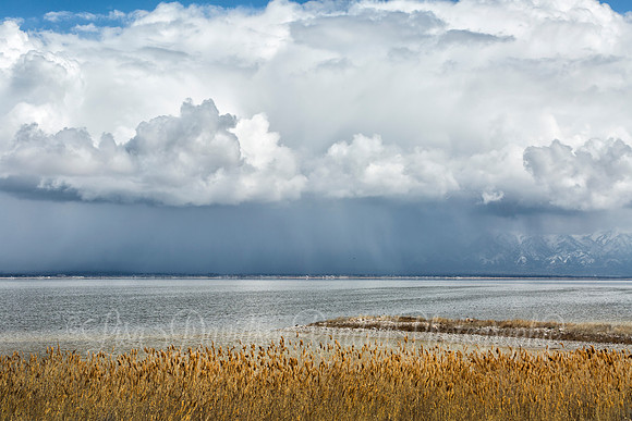 Morning Rain
