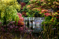 The Bridge